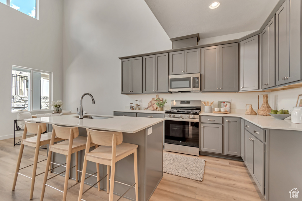 Kitchen featuring a sink, a wealth of natural light, gray cabinets, a towering ceiling, and appliances with stainless steel finishes