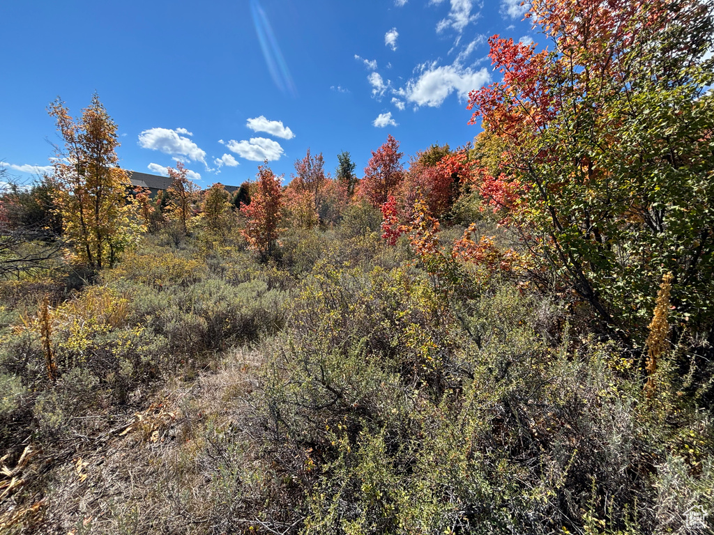 View of landscape featuring a forest view