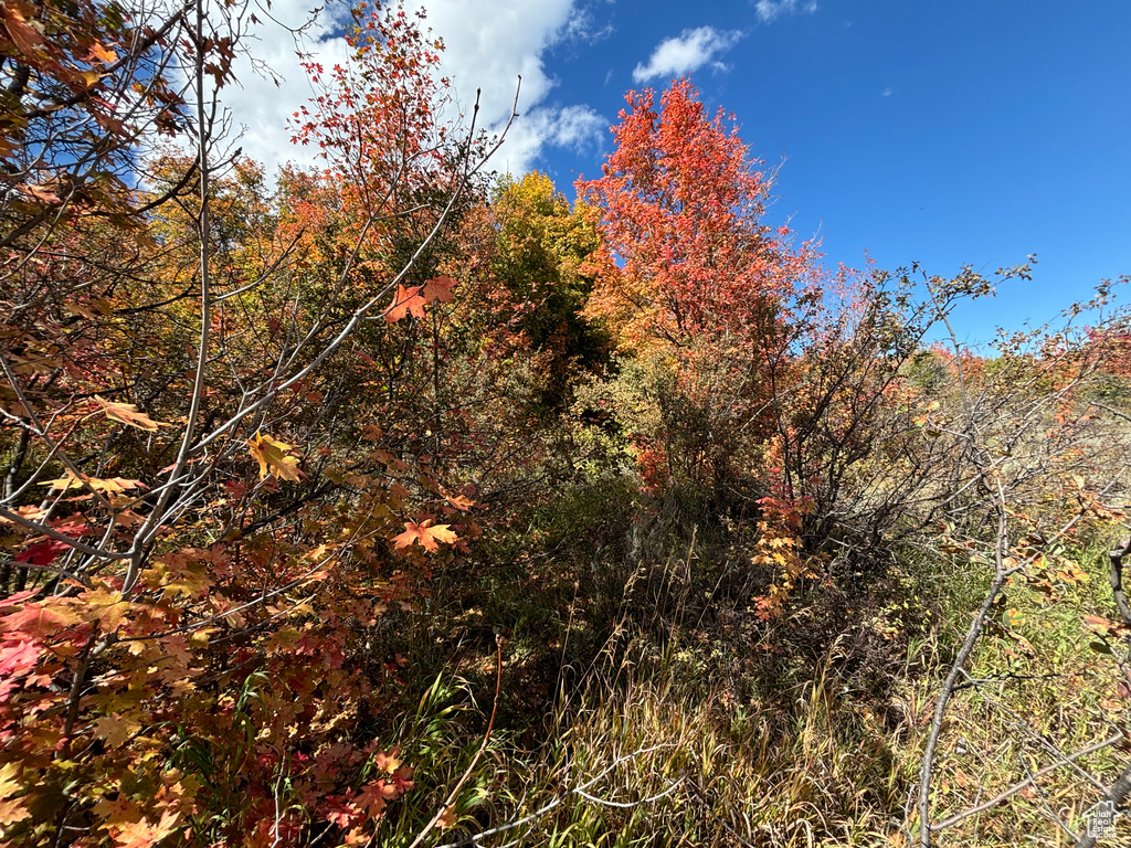 View of landscape featuring a view of trees