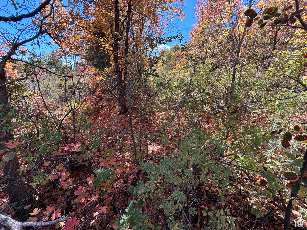 View of landscape with a forest view