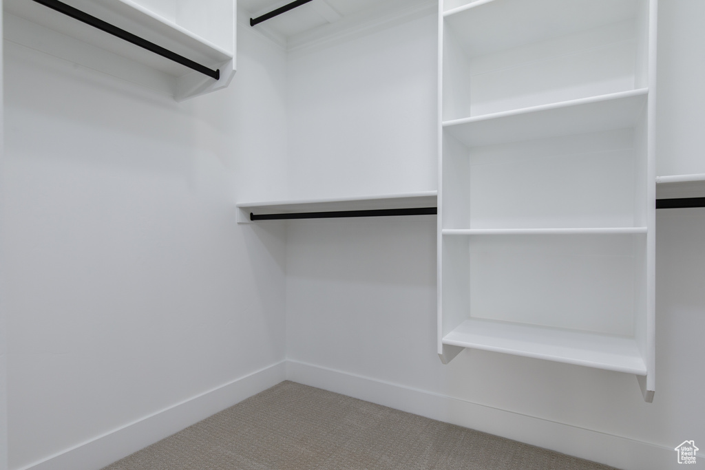 Walk in closet featuring carpet flooring