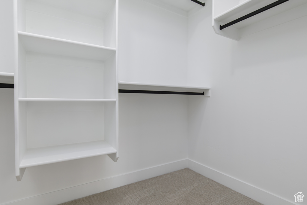 Spacious closet with carpet flooring