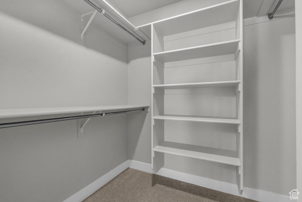 Walk in closet featuring carpet flooring