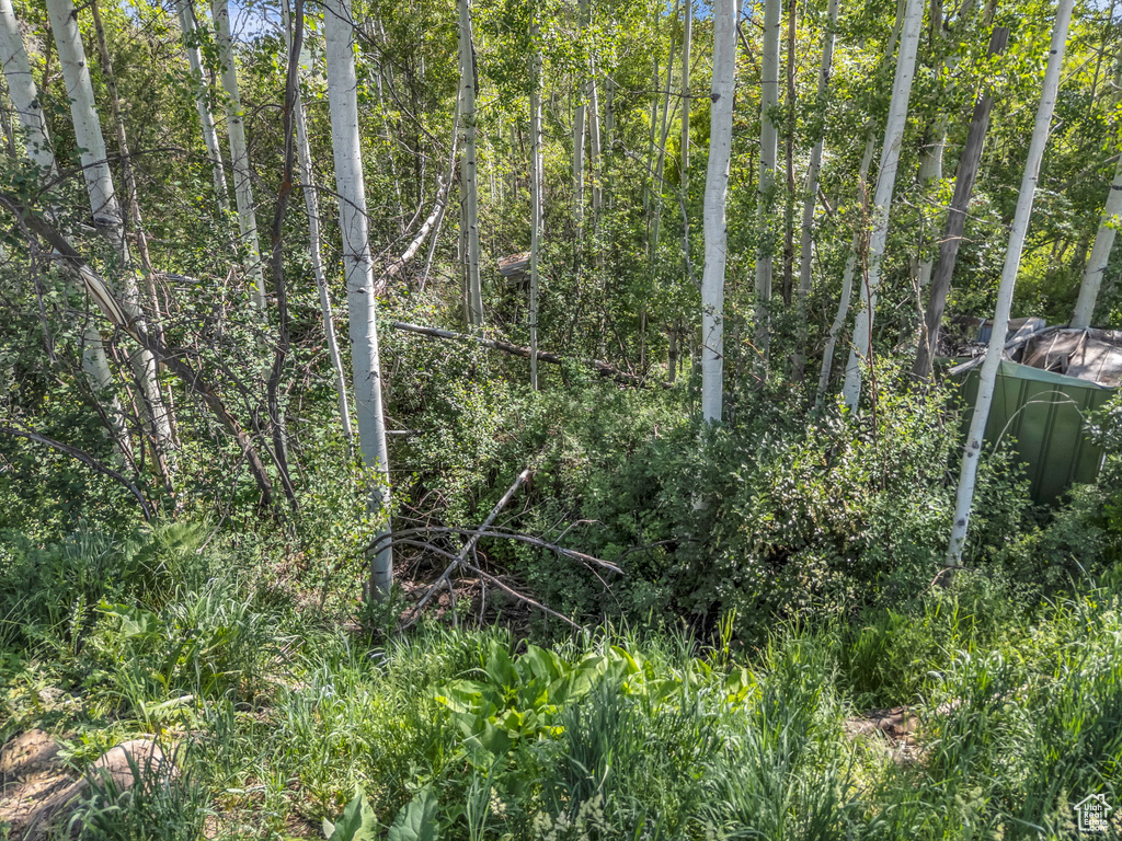 4482 S ASPEN HOLLOW RD Woodland, UT 84036