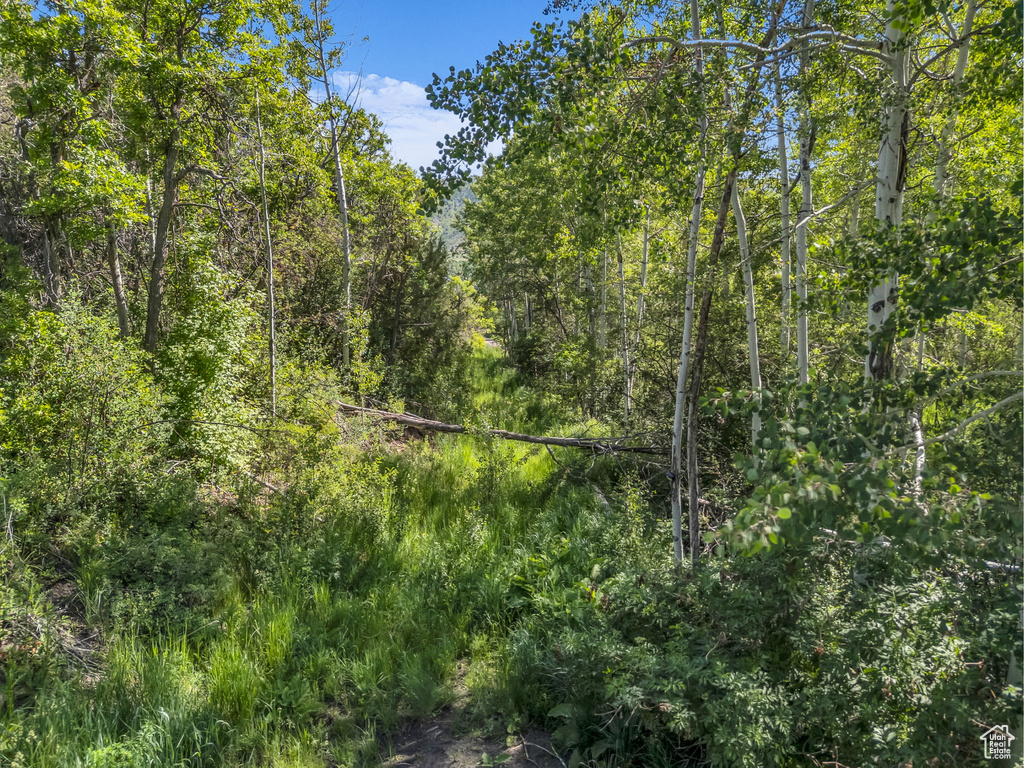 4482 S ASPEN HOLLOW RD Woodland, UT 84036