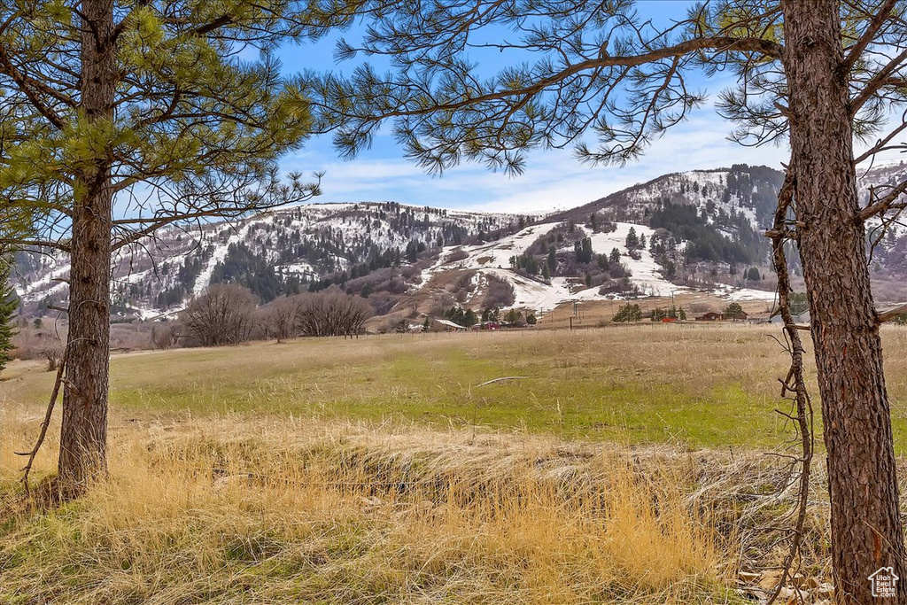 Mountain view