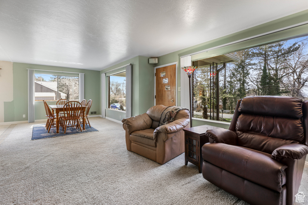 Carpeted living area with baseboards