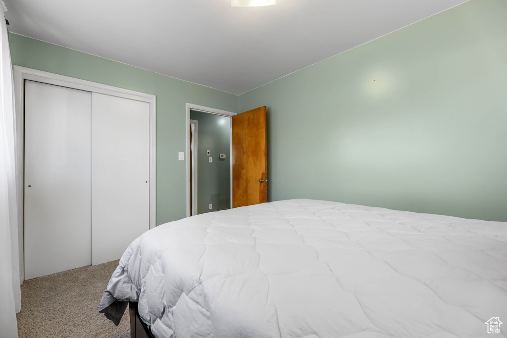 Bedroom with a closet and carpet floors