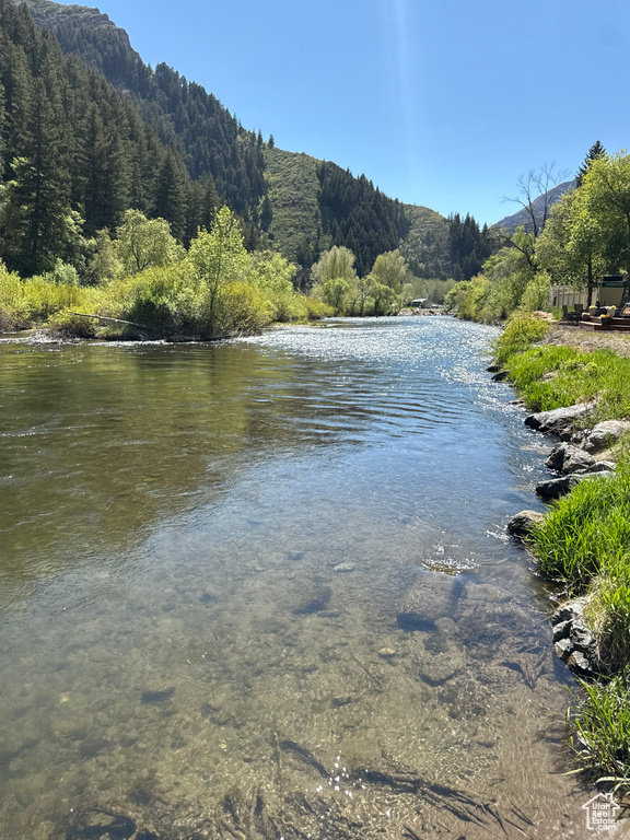 Water view featuring a forest and a mountain backdrop