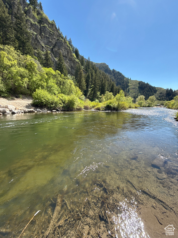 Water view featuring a forest