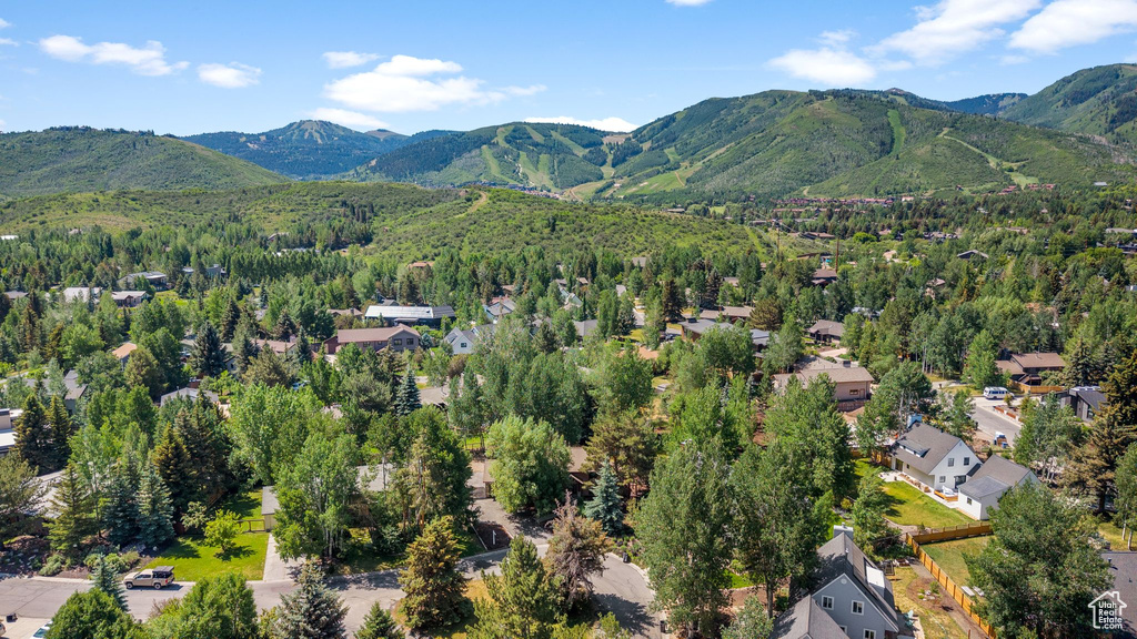 Aerial perspective of suburban area featuring mountains and a heavily wooded area