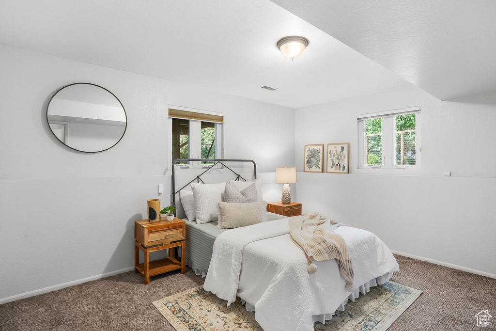 Carpeted bedroom featuring multiple windows
