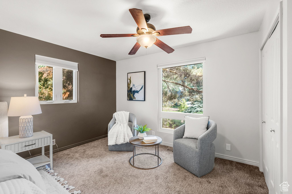 Carpeted bedroom with a closet and ceiling fan