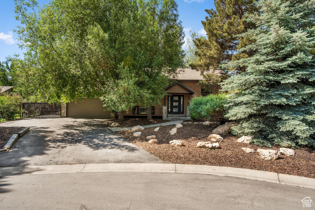 View of property hidden behind natural elements with asphalt driveway and a garage