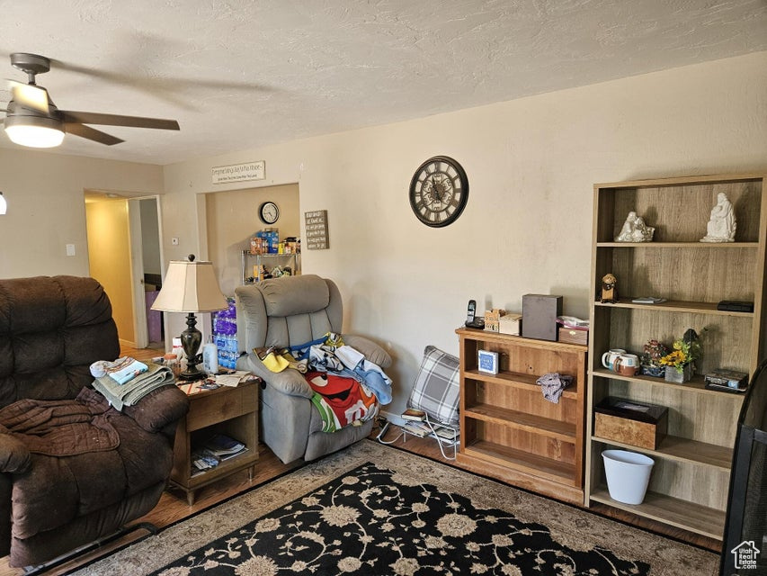 Living area featuring a ceiling fan