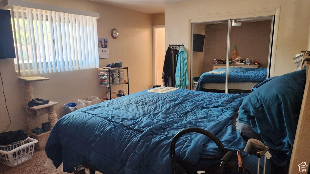 Bedroom with a closet and carpet floors