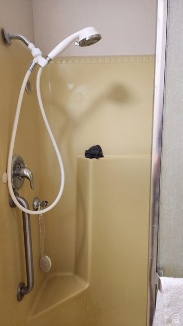 Bathroom view of a shower