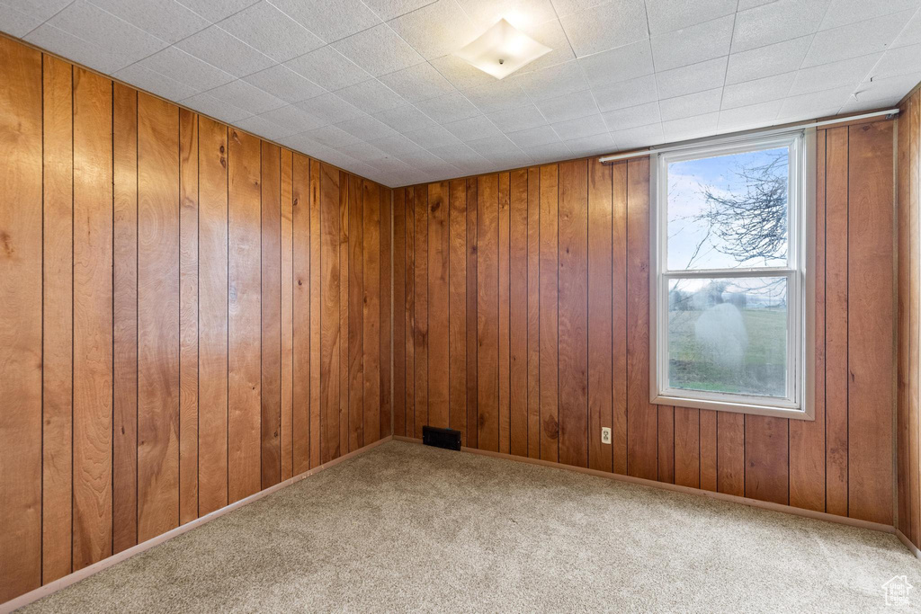 Spare room with baseboards, wooden walls, and carpet