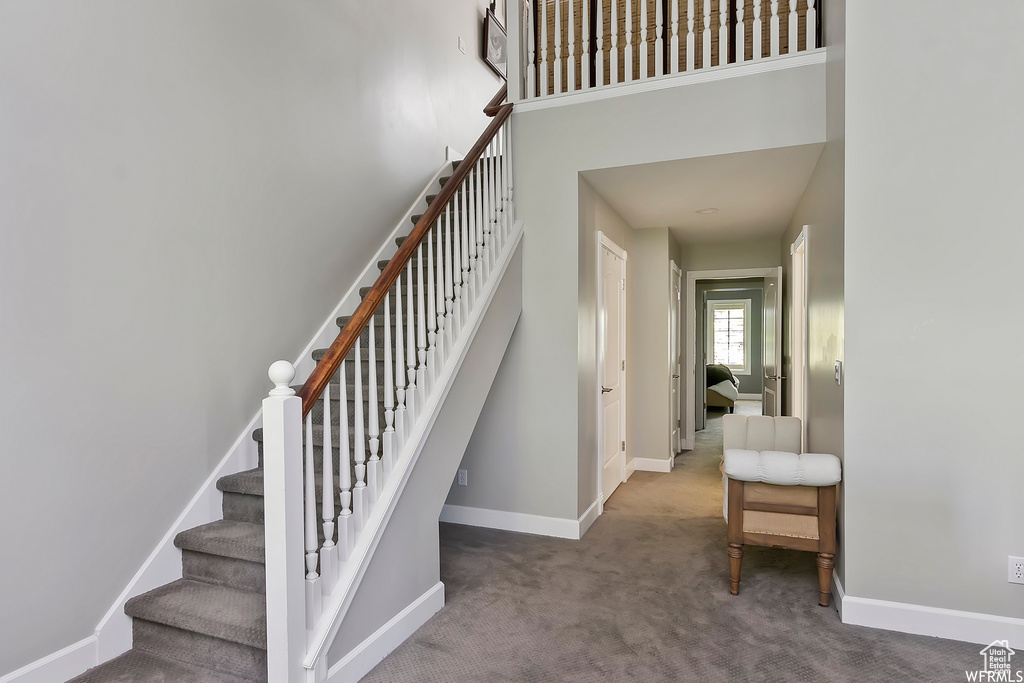 Stairway featuring baseboards, carpet, and a high ceiling