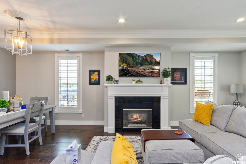 Living room with a glass covered fireplace, baseboards, an inviting chandelier, ornamental molding, and dark wood finished floors