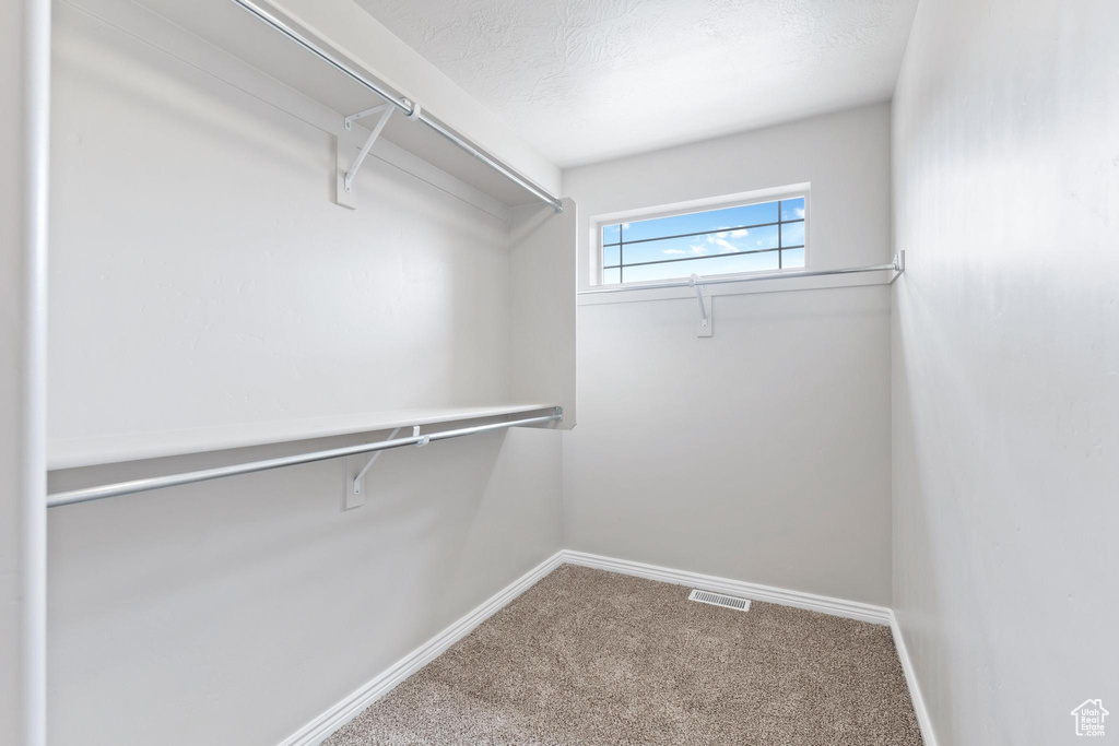 Walk in closet featuring visible vents and carpet floors