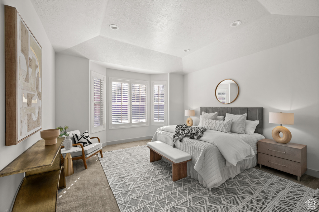 Bedroom with a tray ceiling, baseboards, carpet flooring, and a textured ceiling