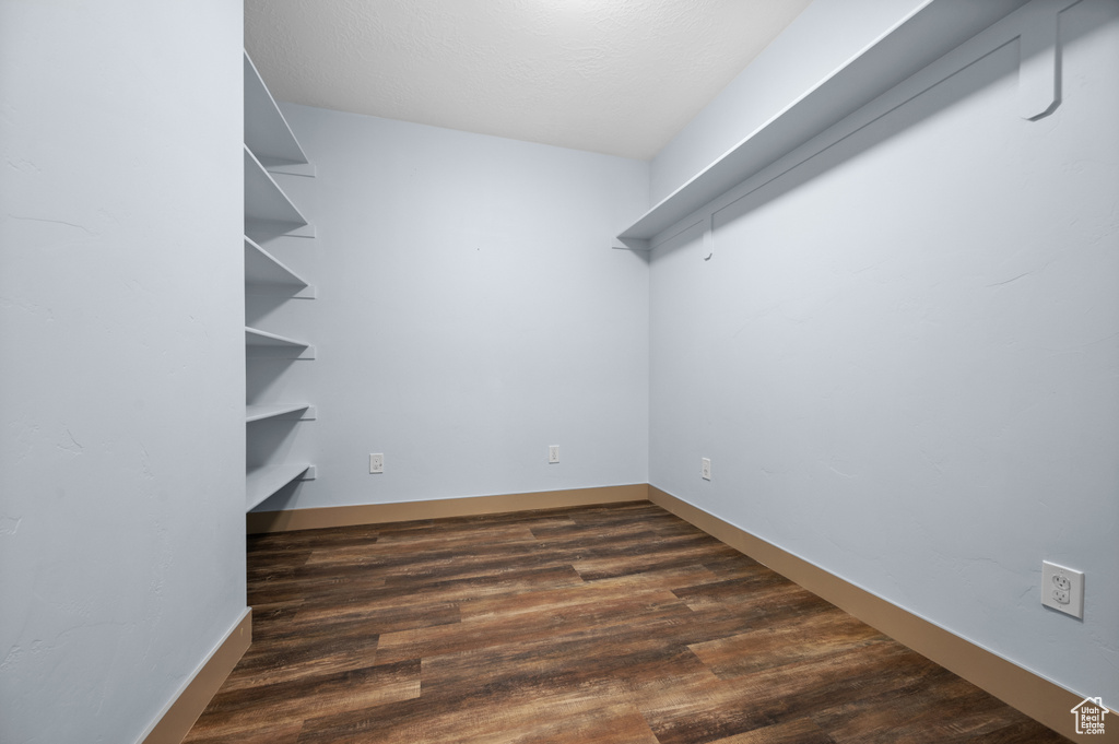 Spacious closet with dark wood-type flooring