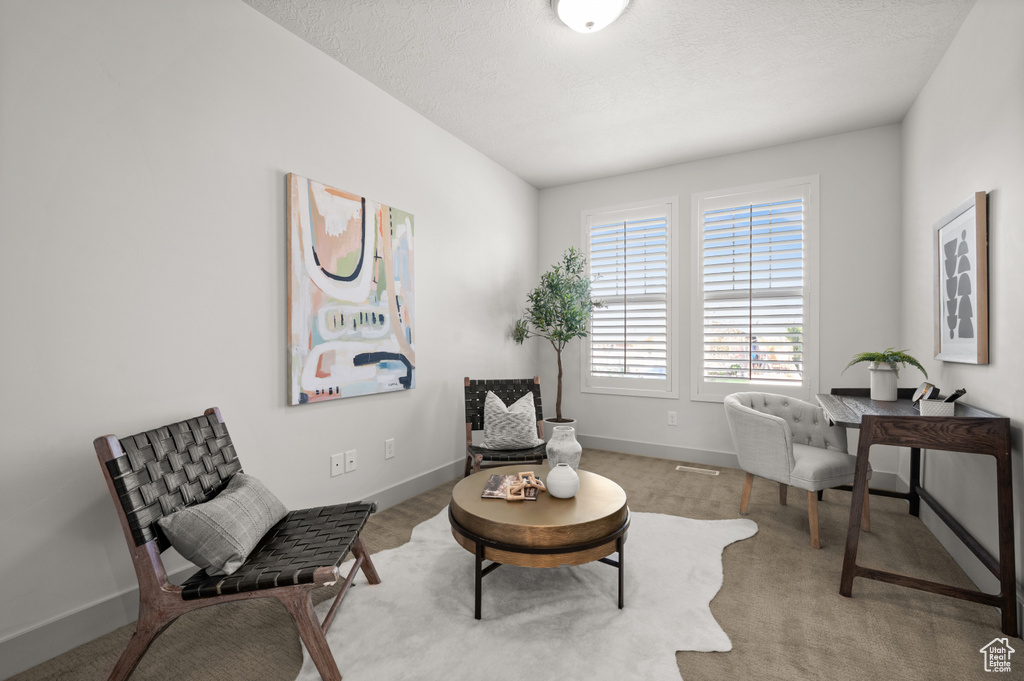 Living area featuring a textured ceiling, baseboards, and visible vents