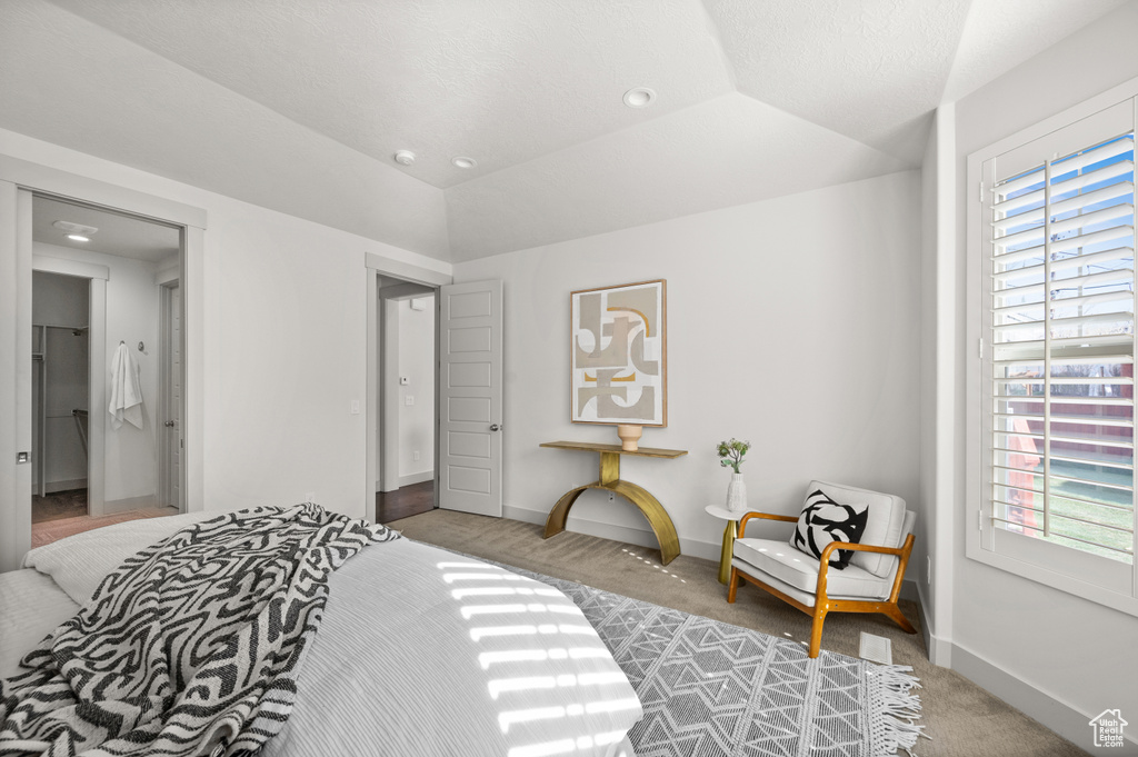 Carpeted bedroom with baseboards, multiple windows, and lofted ceiling