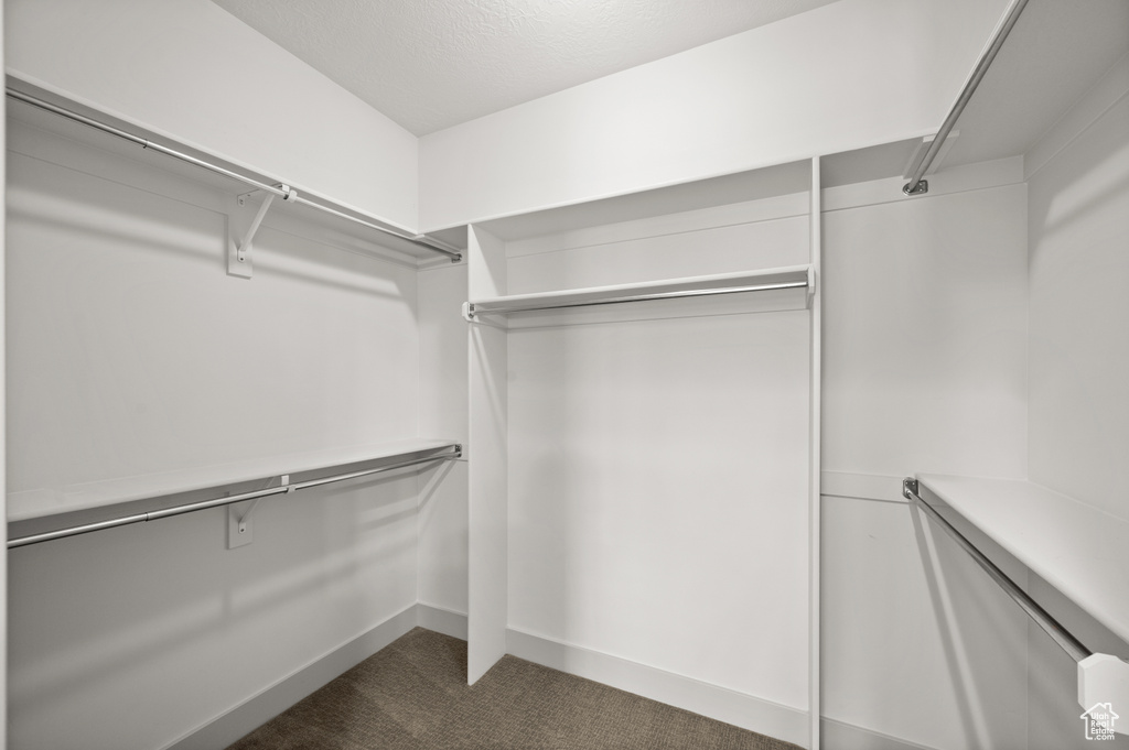 Spacious closet with dark colored carpet