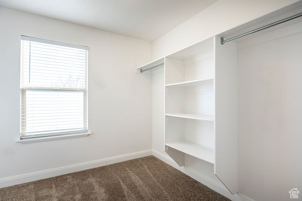 Walk in closet with carpet flooring