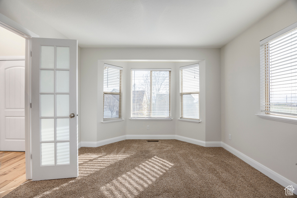 Spare room featuring carpet floors, a wealth of natural light, and baseboards
