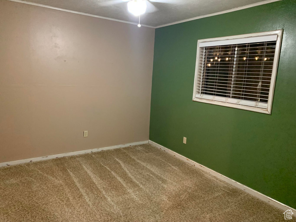 Unfurnished room featuring ornamental molding, a ceiling fan, and carpet flooring