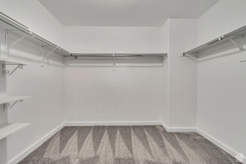 Spacious closet with carpet flooring