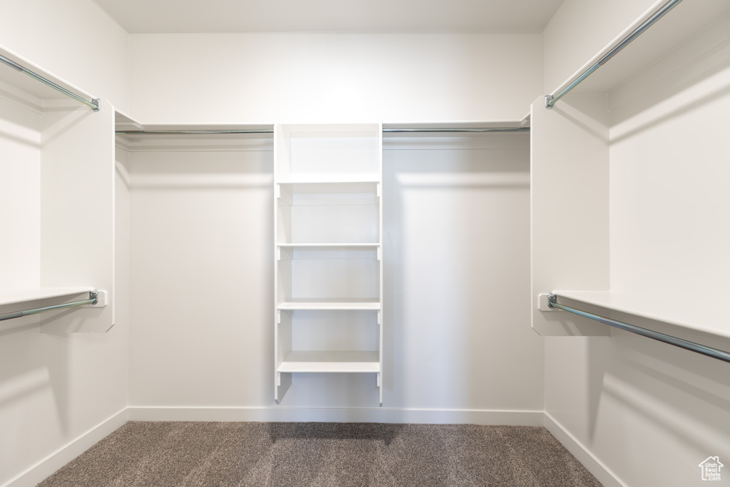 Walk in closet featuring carpet