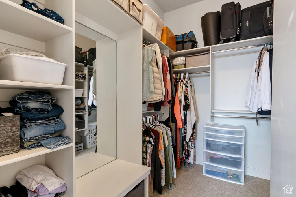 Spacious closet with carpet