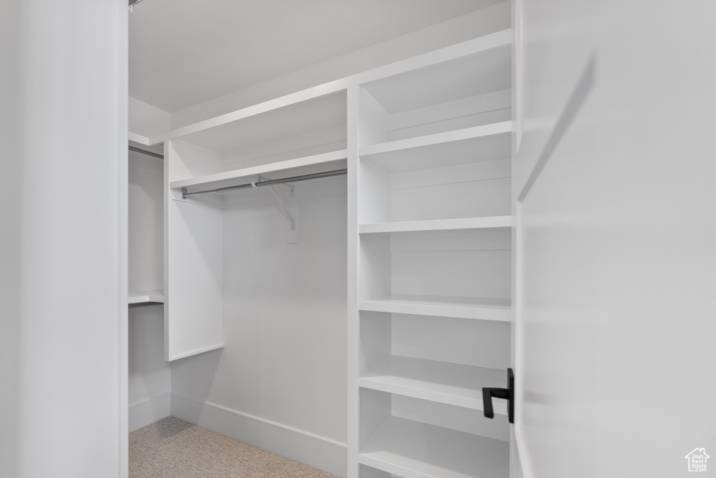 Spacious closet featuring carpet flooring