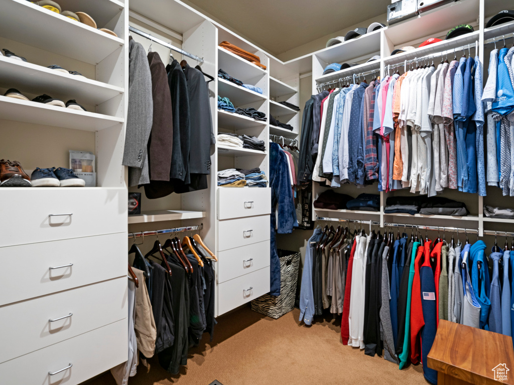 Walk in closet featuring carpet flooring