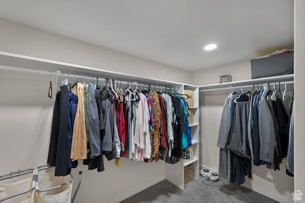 Spacious closet with carpet floors
