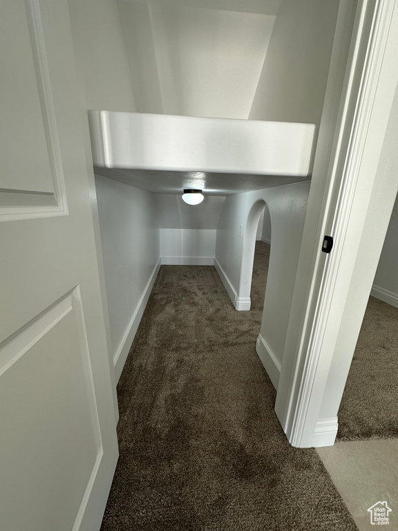 Spacious closet with carpet floors