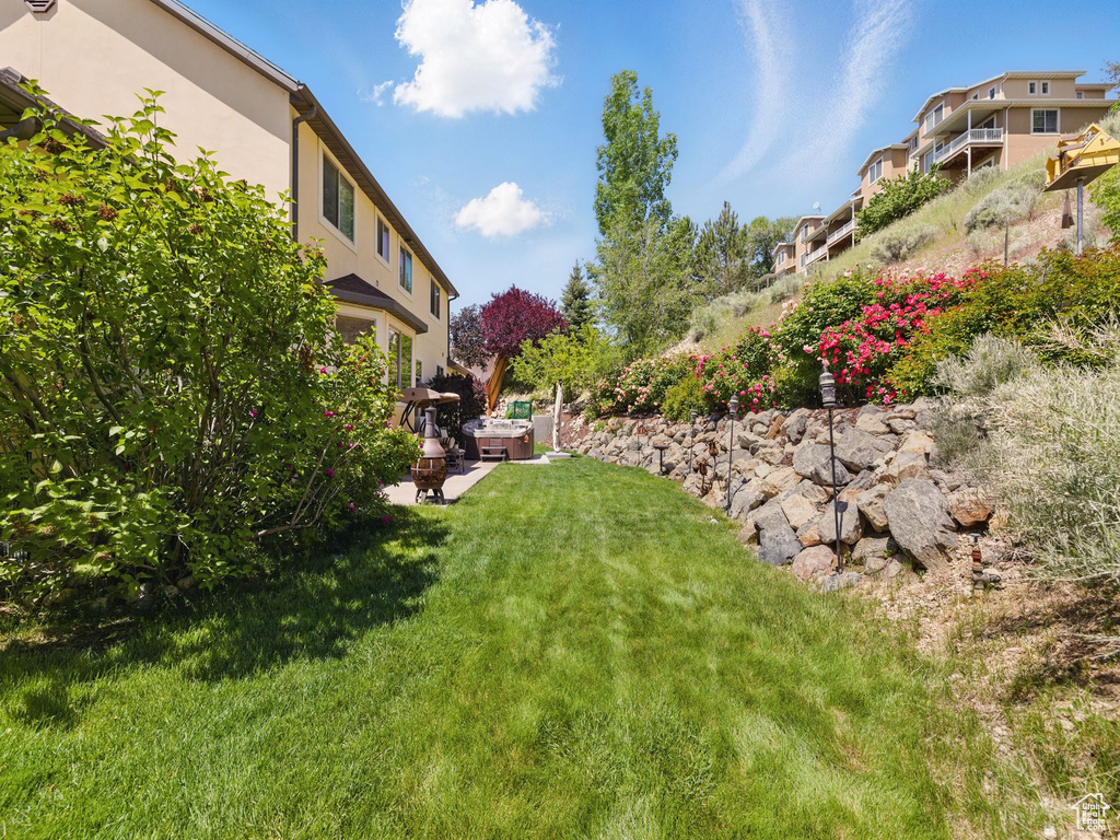 View of grassy yard