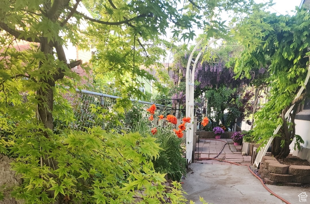 View of gate
