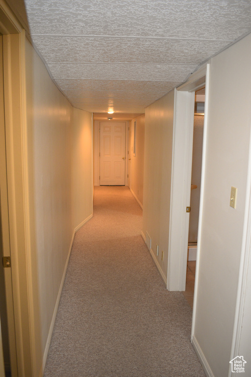 Hall featuring carpet flooring and a textured ceiling