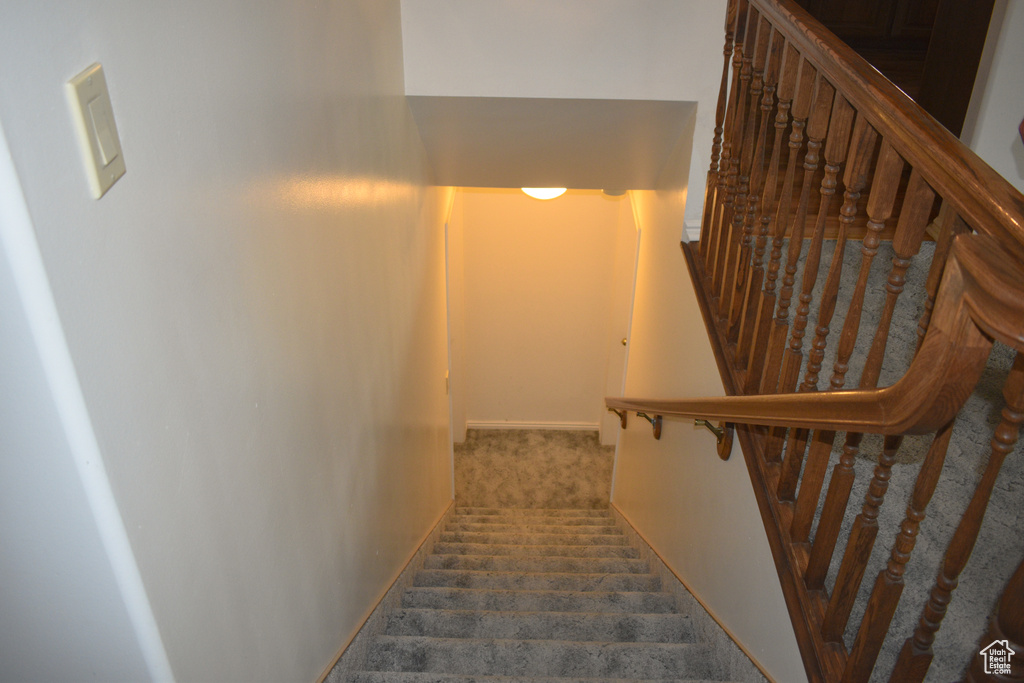 Staircase with carpet and baseboards