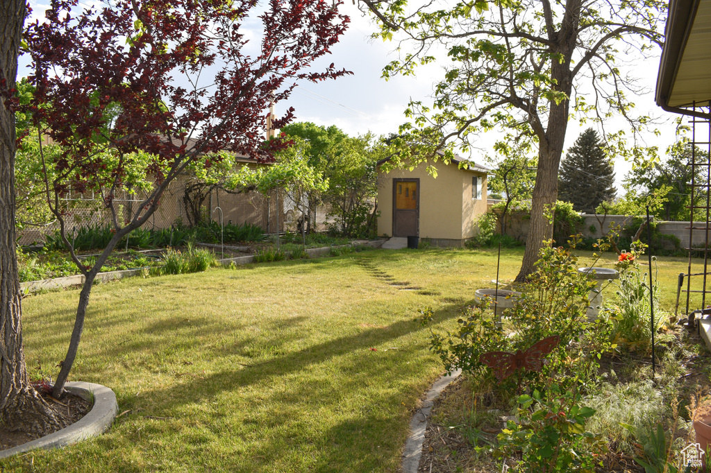 View of yard
