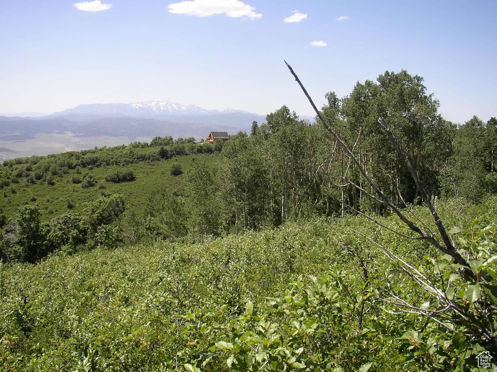 View of nature with a mountain view