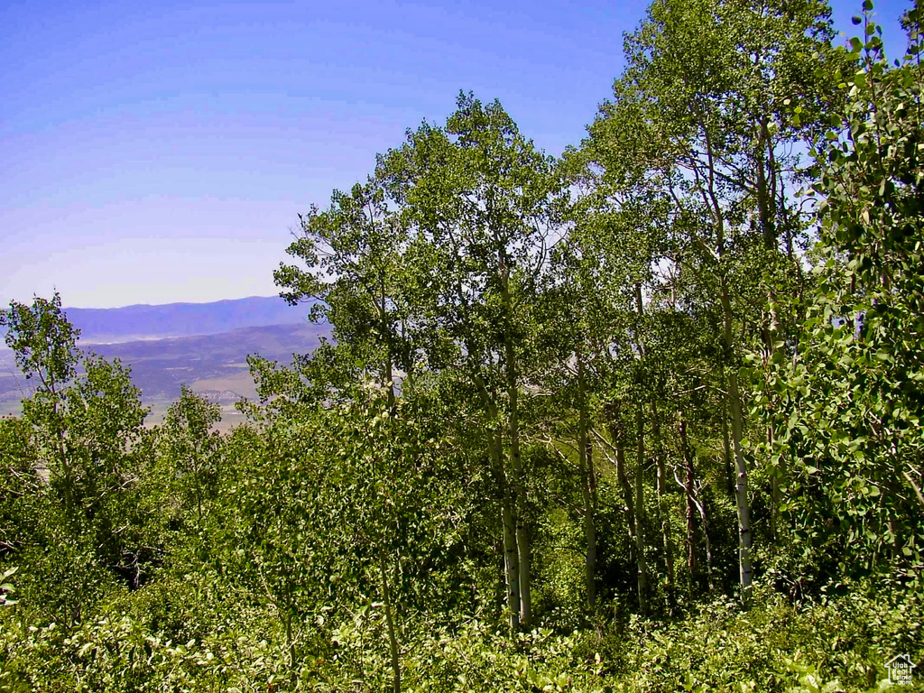  Fairview, UT 84629
