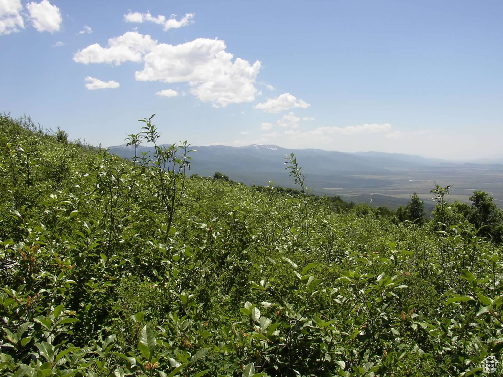 View of mountain feature