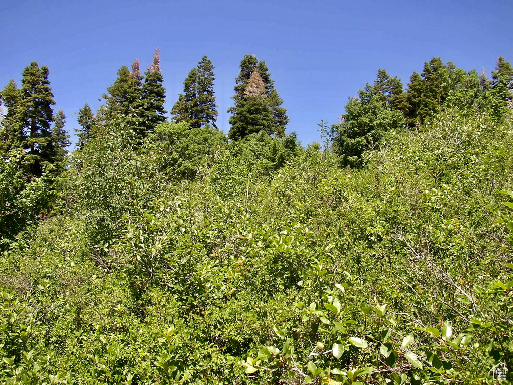  Fairview, UT 84629