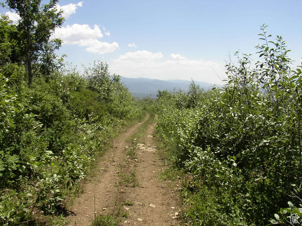 View of road featuring a mountain view